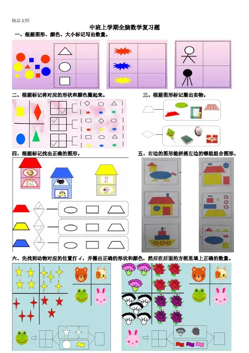 最新中班上学期全脑数学
