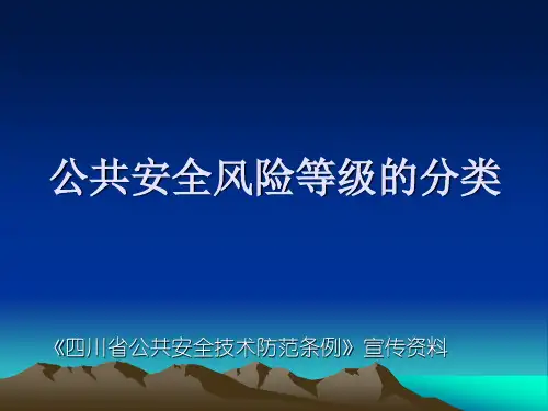 公共安全风险等级分类