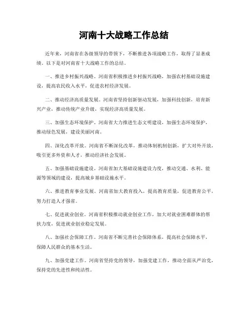 河南十大战略工作总结