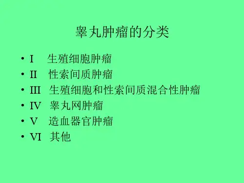 睾丸肿瘤的病理