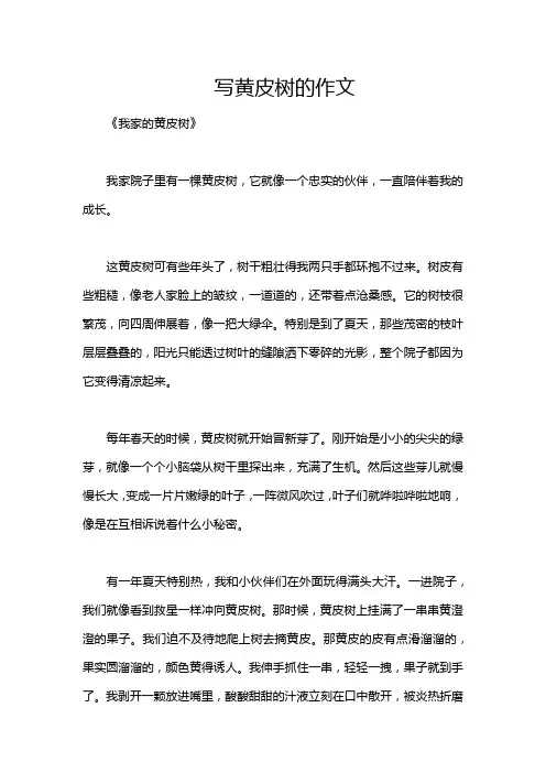 写黄皮树的作文