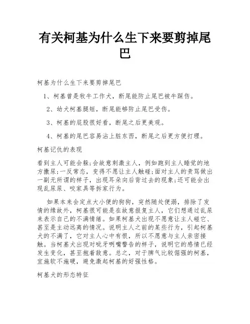 有关柯基为什么生下来要剪掉尾巴