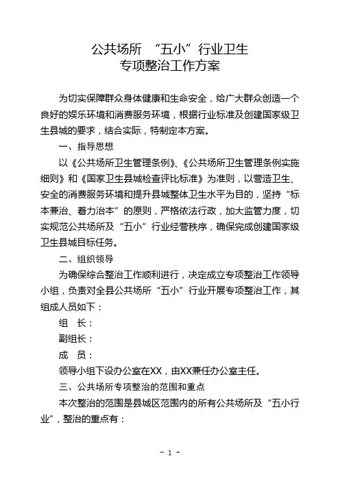 五小行业专项整治方案