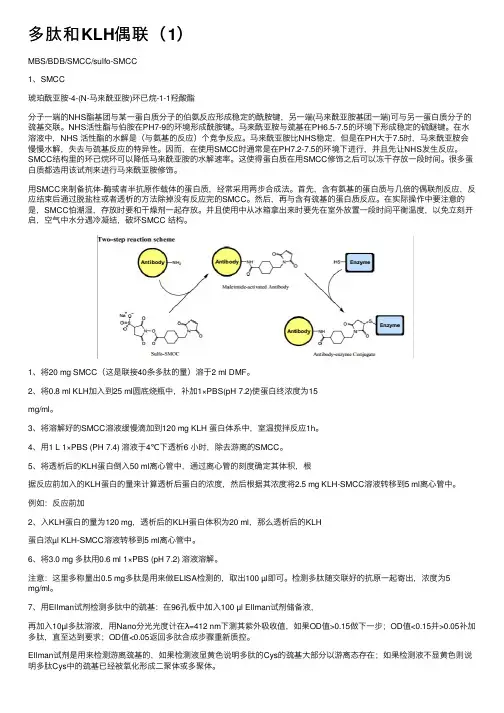 多肽和KLH偶联（1）