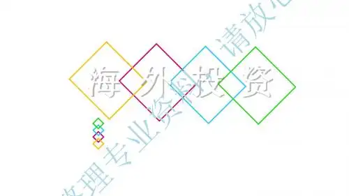 海外投资(PPT35页)