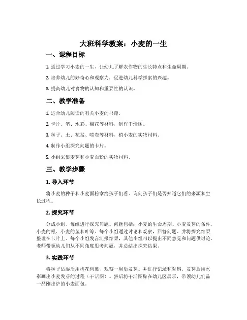 大班科学教案：小麦的一生