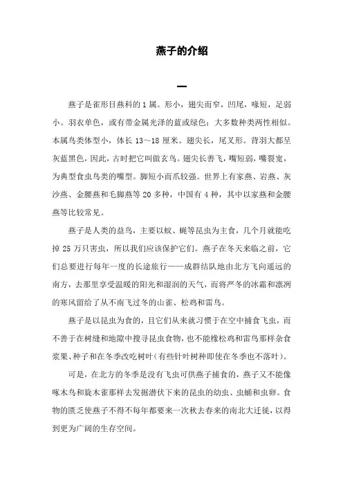燕子的介绍