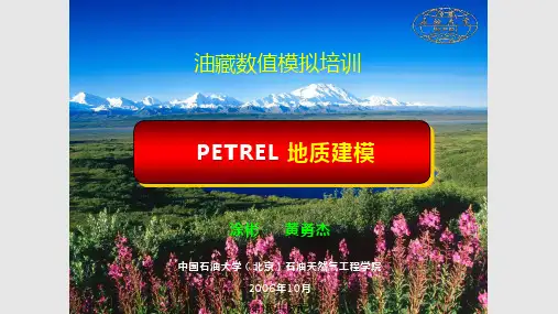 Petrel地质建模石油大学PPT课件