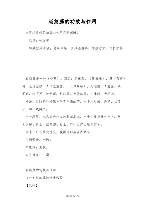 崧筋藤的功效与作用