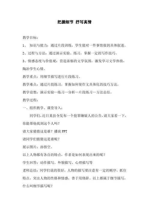 《把握细节抒写真情》教案