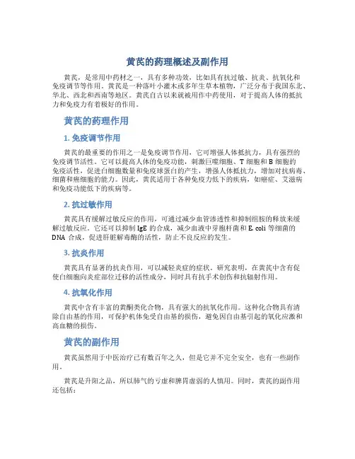 黄芪的药理概述及副作用