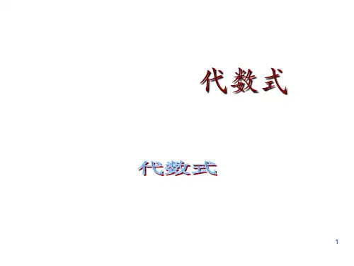 代数式—代数式ppt课件