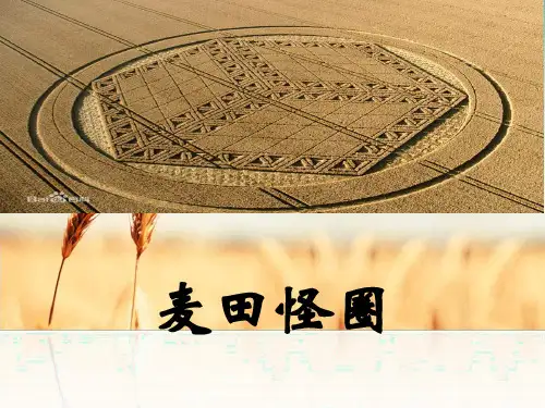 麦田怪圈