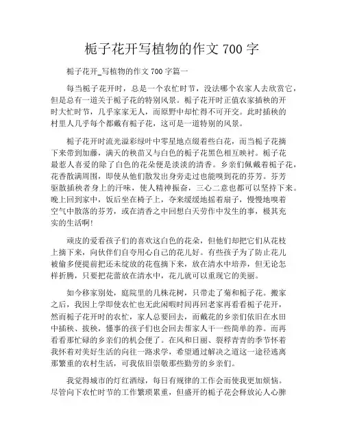 栀子花开写植物的作文700字