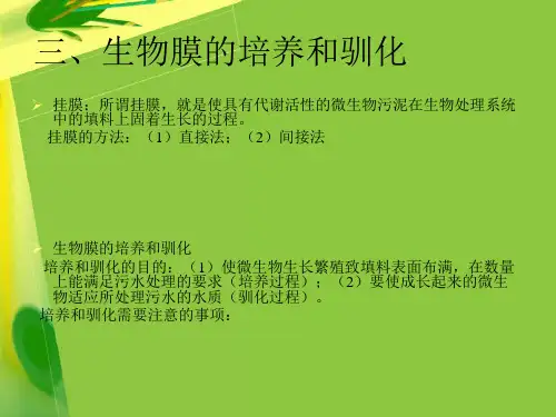 培养和驯化及运行管理(7)