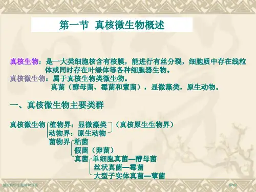 微生物学主题知识讲座