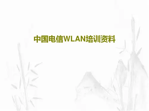 中国电信WLAN培训资料共65页