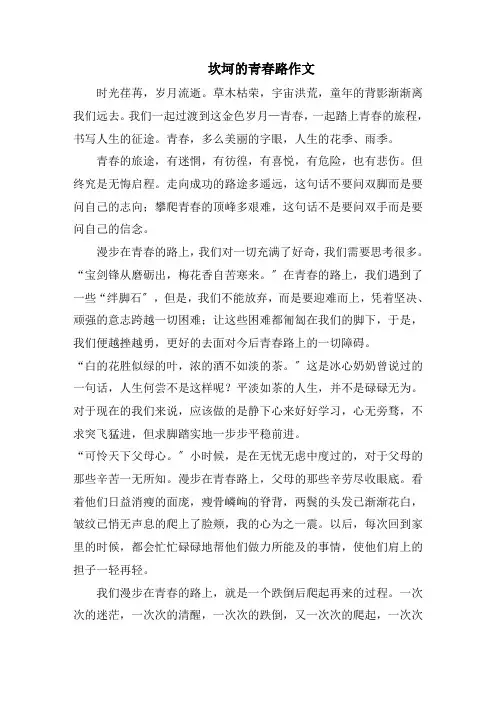 坎坷的青春路作文范文