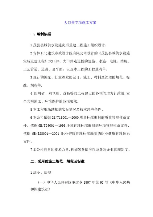 大口井专项施工方案