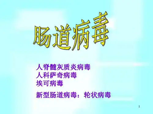 《病原微生物学》课件 肠道病毒 ppt