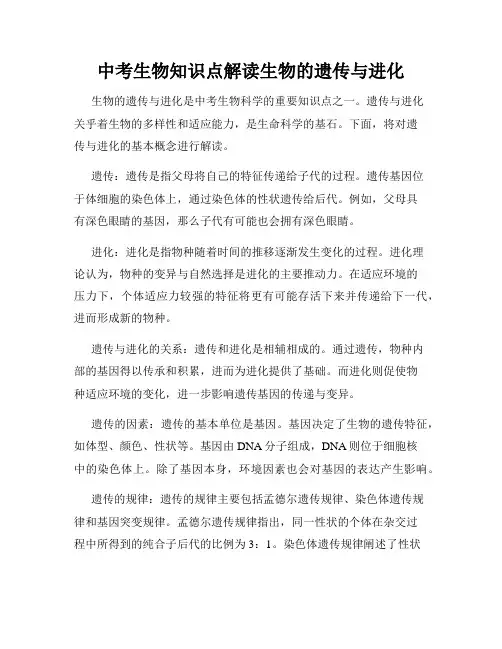 中考生物知识点解读生物的遗传与进化