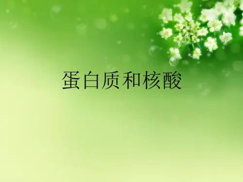 蛋白质和核酸优秀课件