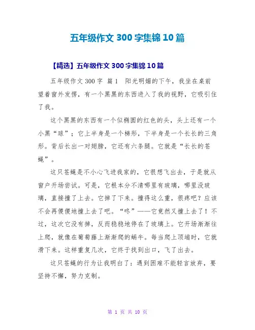 五年级作文300字集锦10篇_2