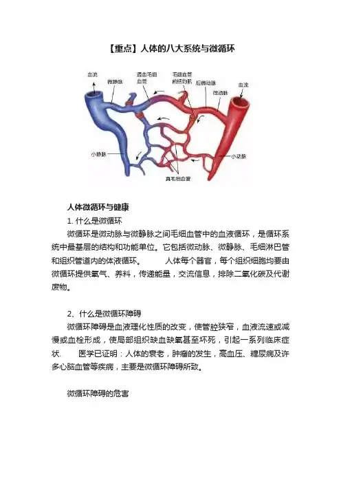 【重点】人体的八大系统与微循环