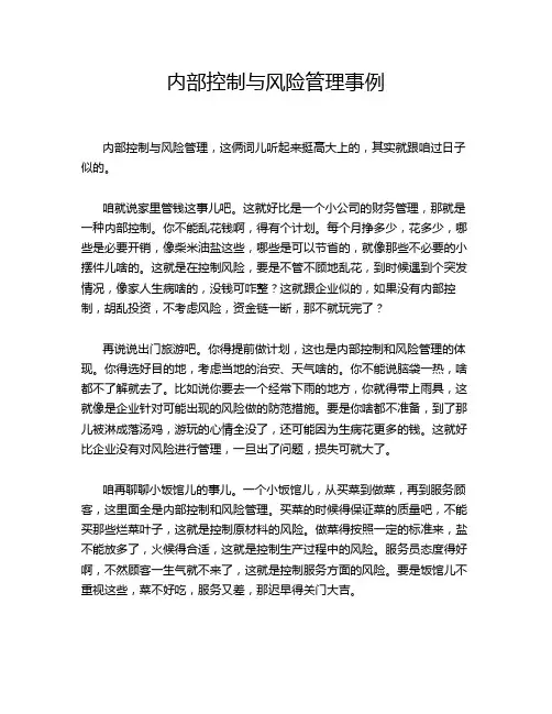 内部控制与风险管理事例