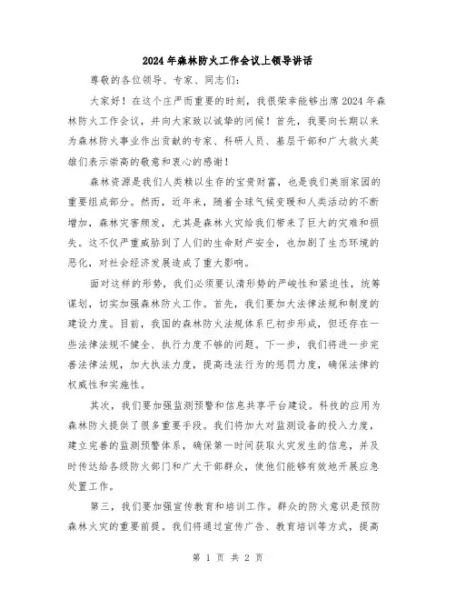 2024年森林防火工作会议上领导讲话