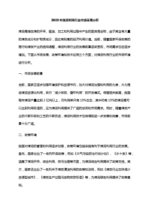 2023年煤泥利用行业市场环境分析