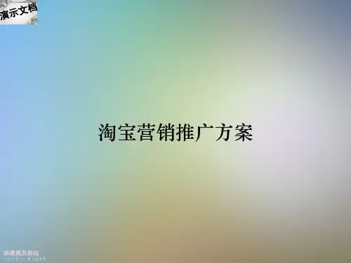 淘宝营销推广方案