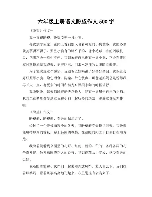 六年级上册语文盼望作文500字