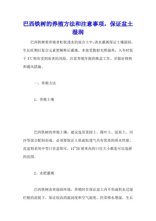 巴西铁树的养殖方法和注意事项,保证盆土湿润