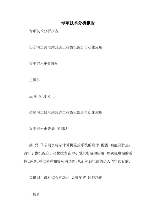 专项技术分析报告