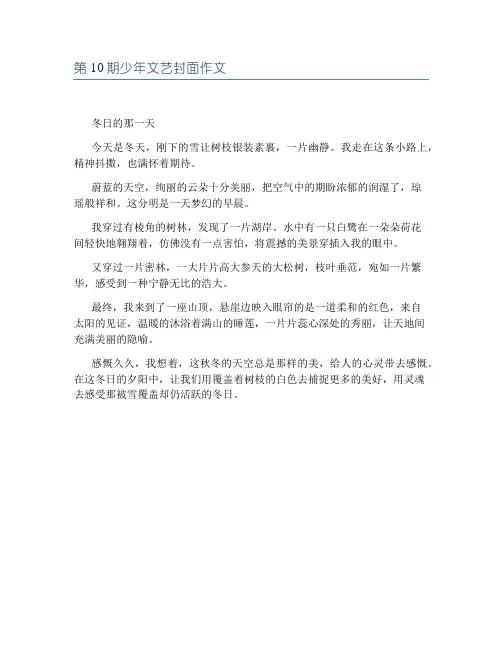 第10期少年文艺封面作文