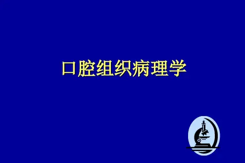 牙的发育讲义