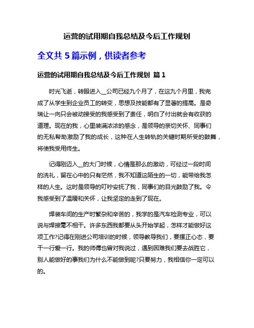 运营的试用期自我总结及今后工作规划