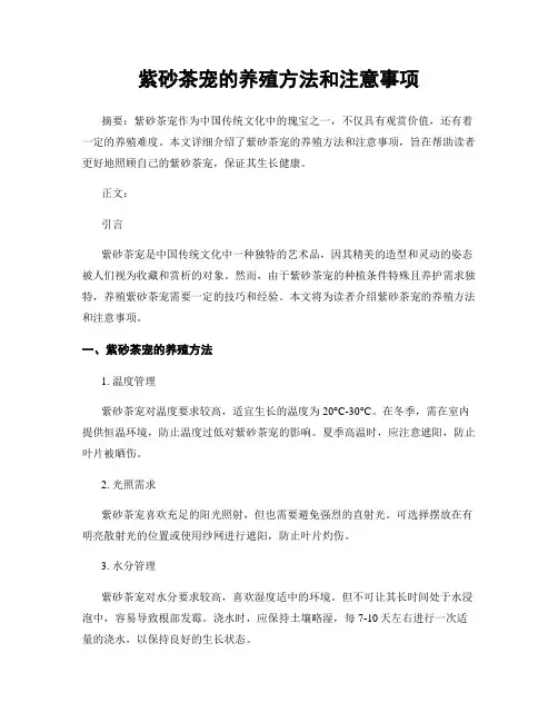 紫砂茶宠的养殖方法和注意事项