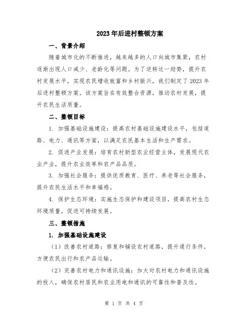 2023年后进村整顿方案