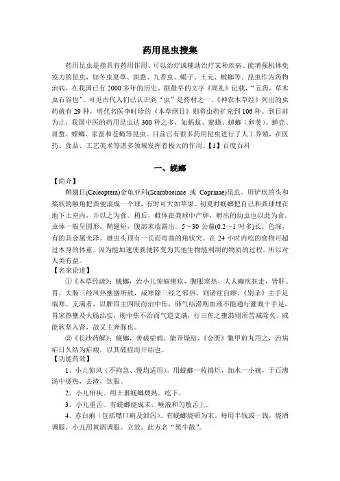 药用昆虫