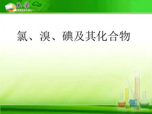氯、溴、碘及其化合物5 苏教版精选教学PPT课件