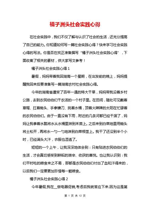 橘子洲头社会实践心得