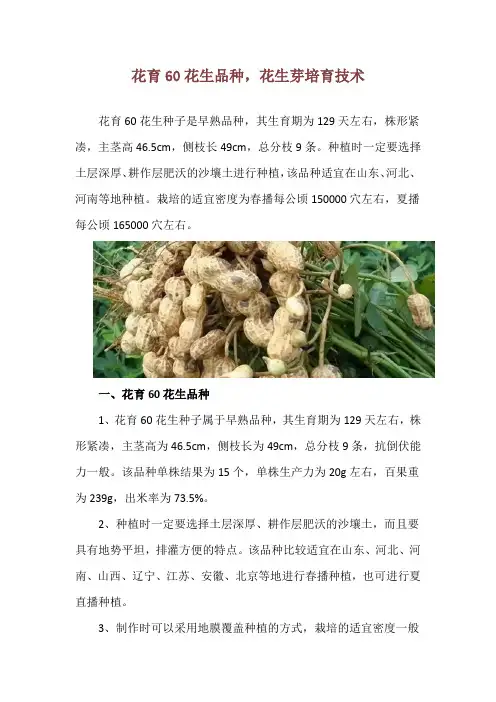 花育60花生品种,花生芽培育技术