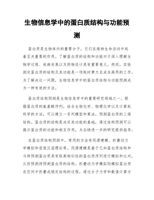 生物信息学中的蛋白质结构与功能预测