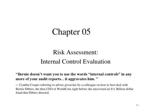 Auditing and Assurance Services (17)