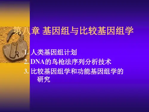 基因组与比较基因组