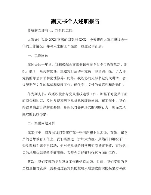 副支书个人述职报告