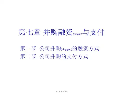 企业重组与并购第七章并购融资与(ppt版)
