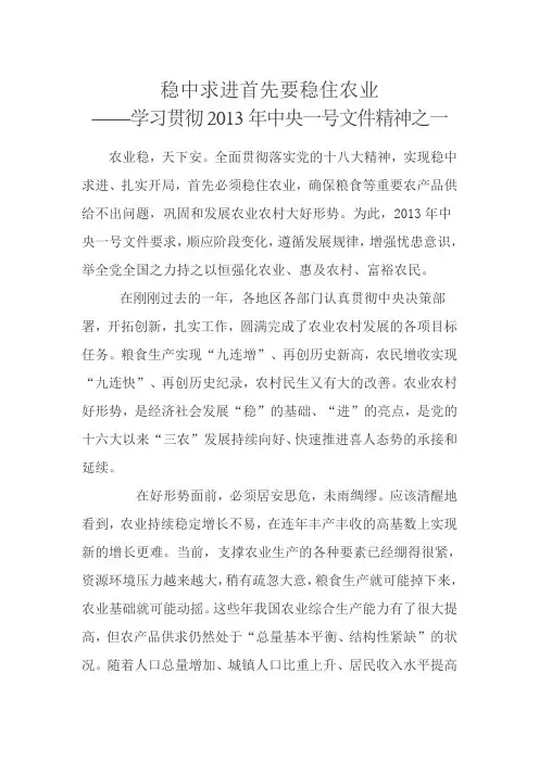 学习中央一号文件精神之评论